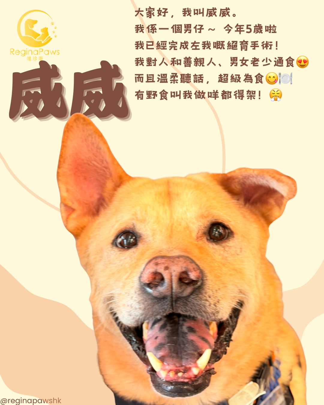 威威